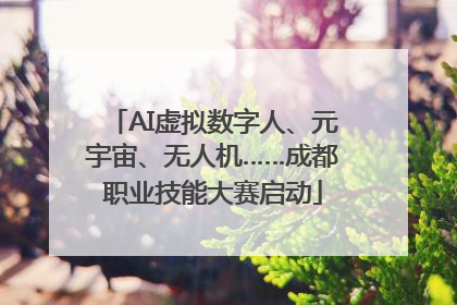 AI虚拟数字人、元宇宙、无人机……成都职业技能大赛启动