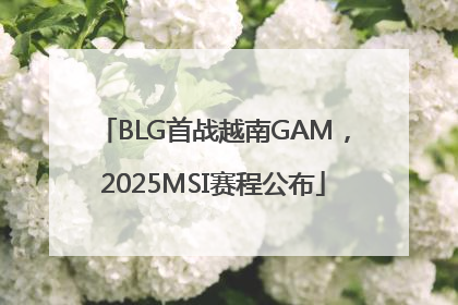 BLG首战越南GAM，2025MSI赛程公布