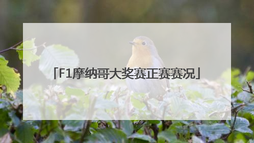 F1摩纳哥大奖赛正赛赛况