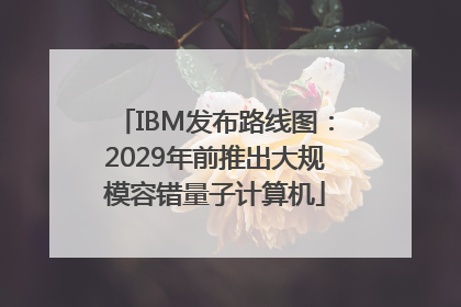 IBM发布路线图：2029年前推出大规模容错量子计算机
