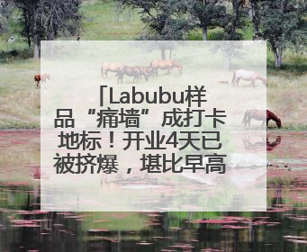 Labubu样品“痛墙”成打卡地标！开业4天已被挤爆，堪比早高峰菜市场
